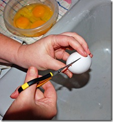 egg-cutting