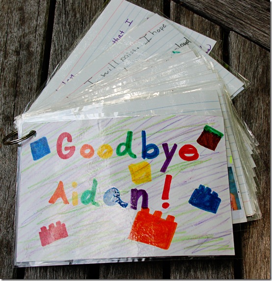 Goodbye-A-ChaosServedDaily